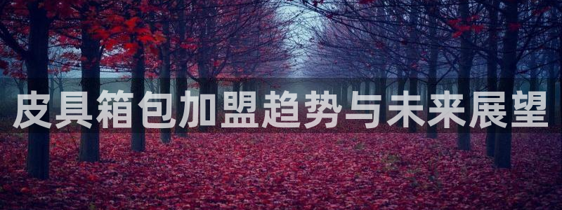 信誉辉达娱乐平台