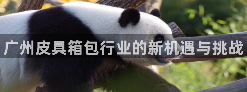 辉达娱乐游戏.直开.中国