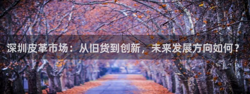 信誉辉达娱乐平台