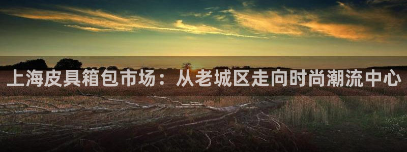 辉达平台注册官方网站入口