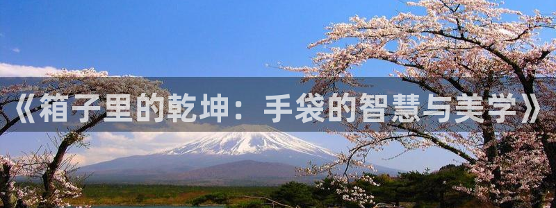 辉达娱乐珈75775