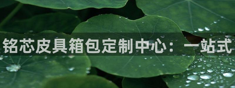 辉达娱乐加扣75775