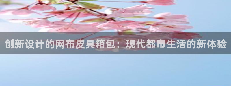 代理辉达娱乐平台