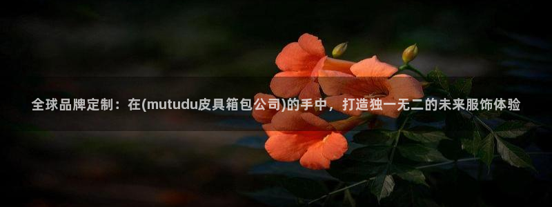 辉达娱乐五75505