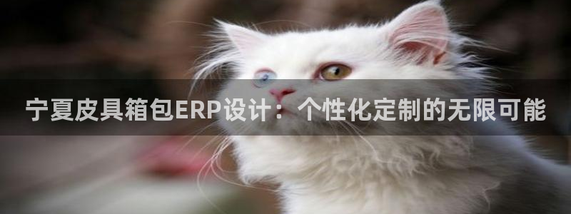 代理辉达娱乐开户注册