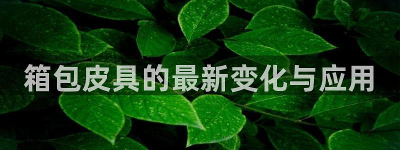 辉达娱乐丶39444