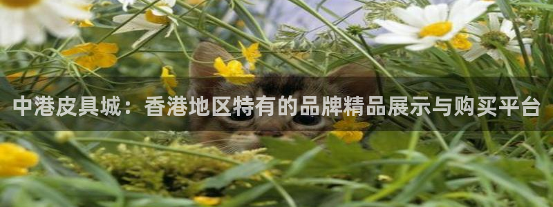 辉达娱乐计划软件