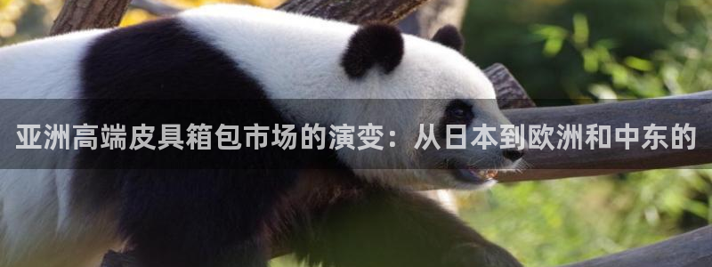 辉达娱乐计划软件