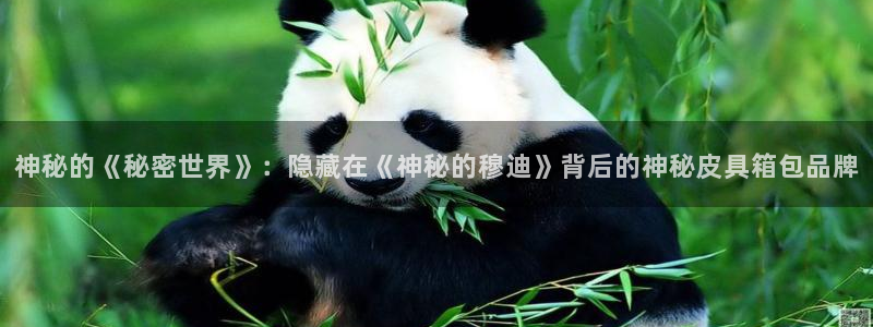 信誉辉达娱乐官方网址