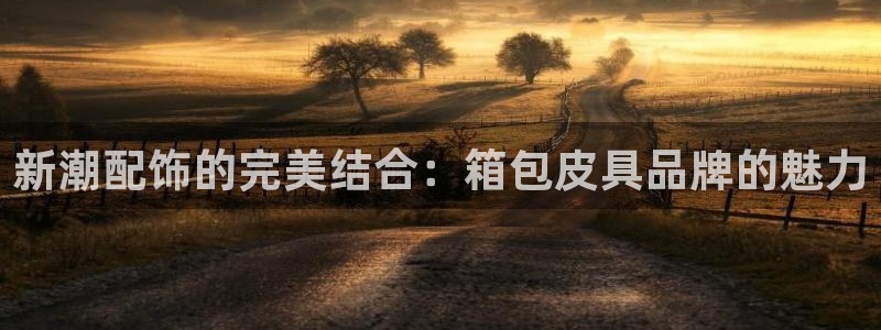 辉达娱乐重庆时时彩注册