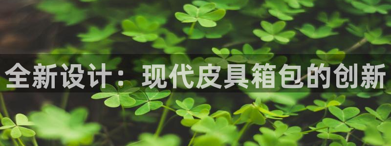 辉达娱乐多少年