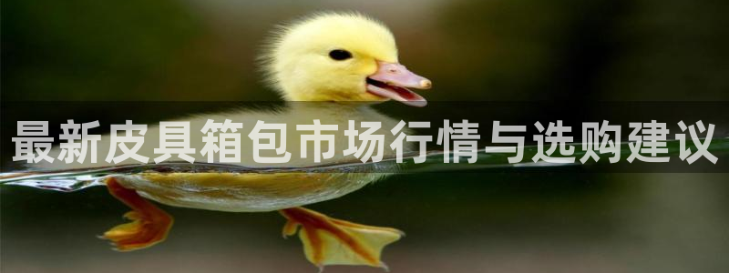 辉达平台官网网站