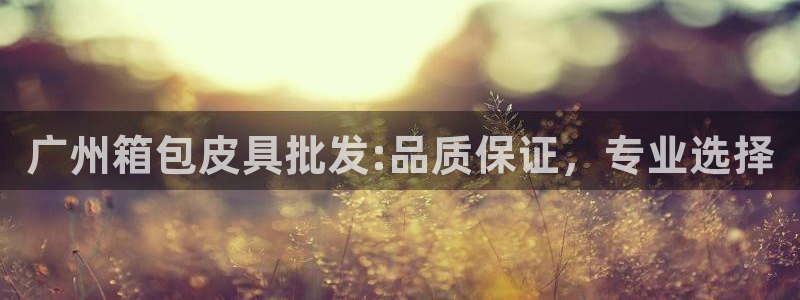 恒达娱乐辉70667