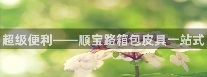 辉达怎么样
