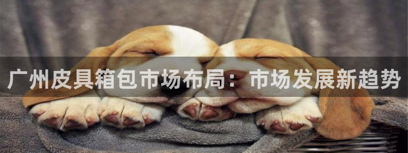 辉达娱乐加扣75775