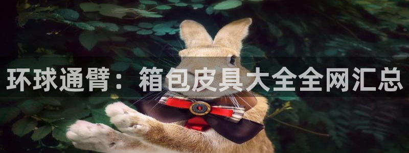 辉达娱乐丿39444