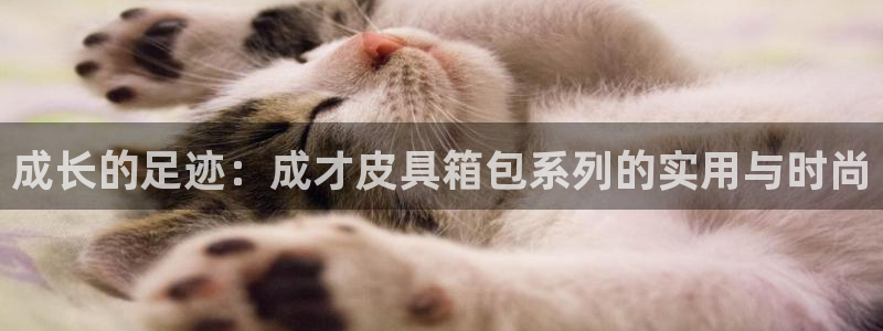 辉达平台官网登录