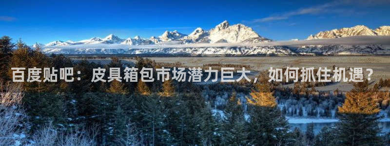 辉达娱乐分红