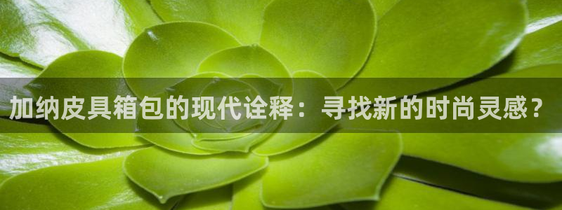 辉达娱乐登录