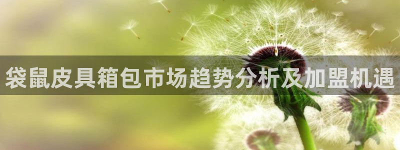 辉达娱乐加扣75775