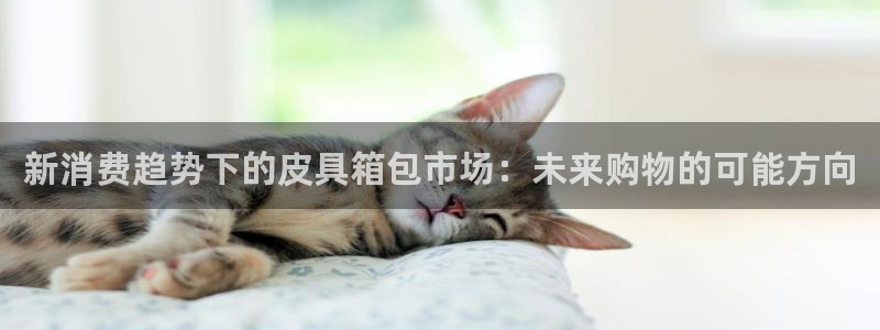 辉达娱乐待遇
