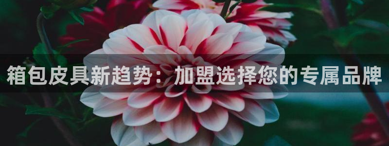 辉达娱乐电子