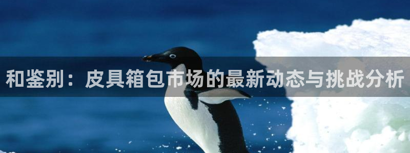 辉达娱乐体育竞猜
