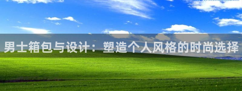 达利娱乐王辉
