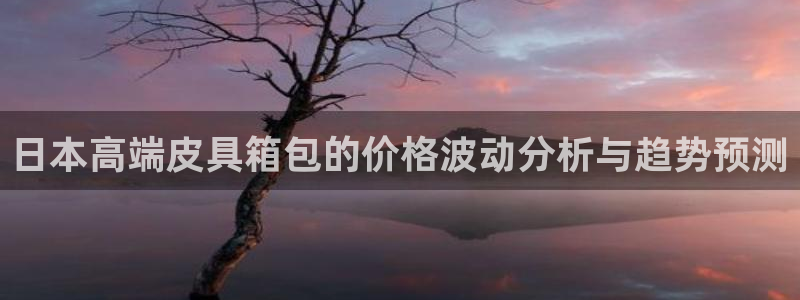 辉达娱乐电子游艺