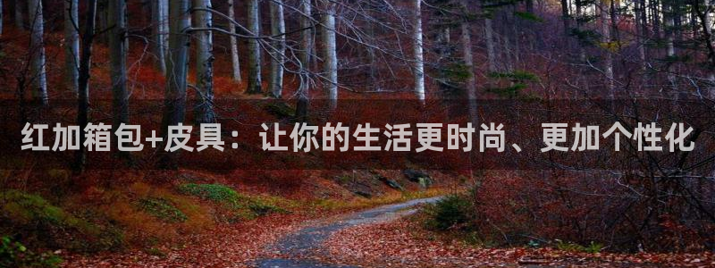 代理辉达娱乐