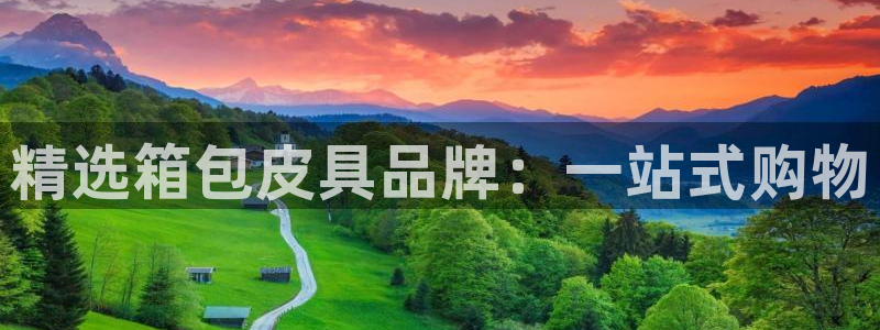 达利娱乐王辉