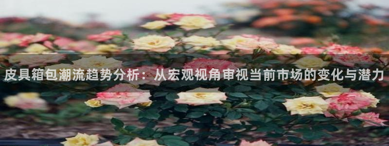 辉达娱乐可靠
