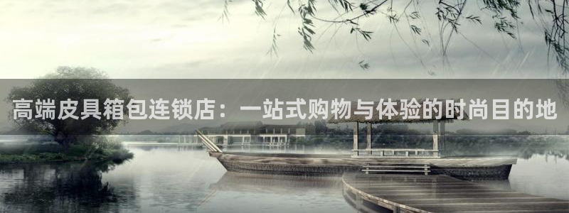 龙腾辉达电子娱乐