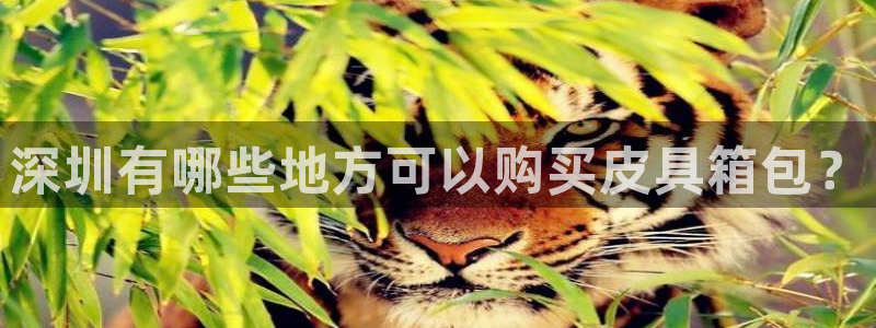 信誉辉达娱乐