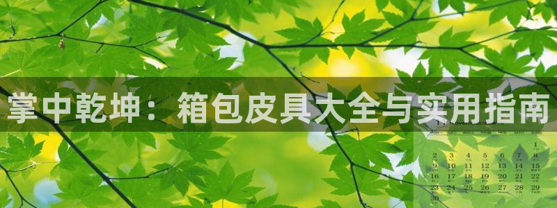 辉达官网登录入口入口