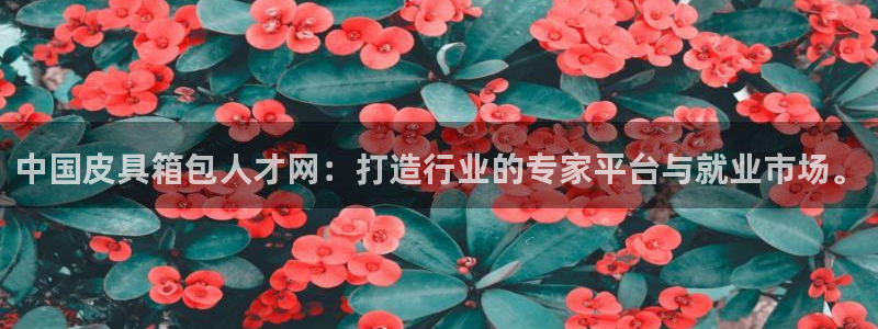 代理辉达娱乐官方网址