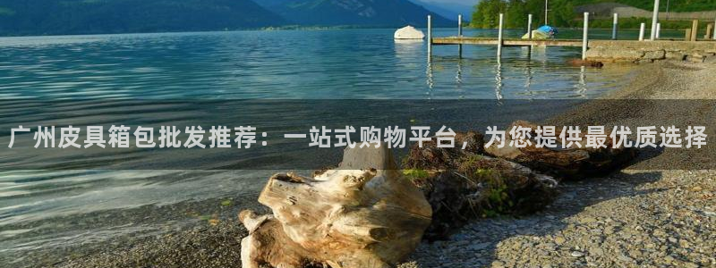 代理辉达娱乐平台