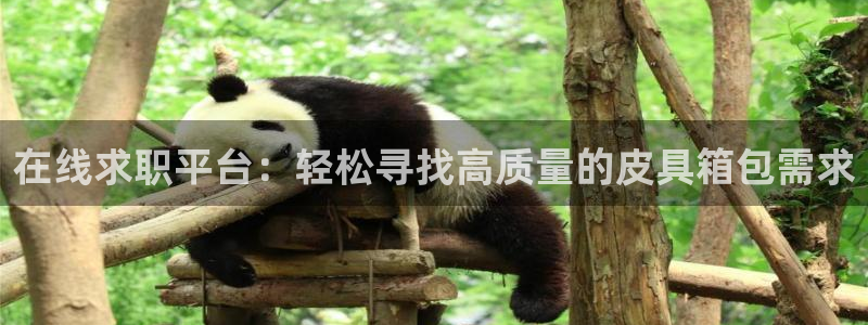 辉达平台官网下载