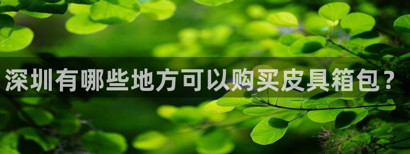辉达平台官网首页